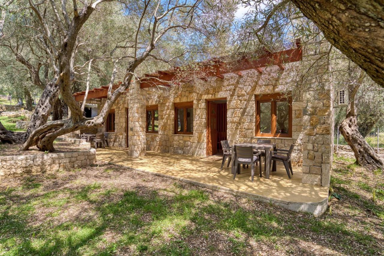 Stonehouse In Olives Apartment Ulcinj Exterior photo